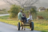 Countryside transportation