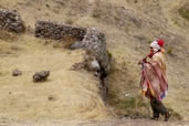 Andean Pan Flute Player, Pisac
