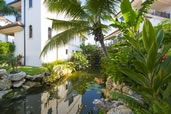 Casa Luna in Cayman, gardens designed by Sandy Urquhart, see more photos here.