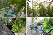 Casa Luna in Cayman, gardens designed by Sandy Urquhart, see more photos here.