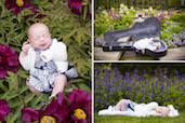 Newborn Francesca in the Chicago Botanical Gardens. More flowery photos here.