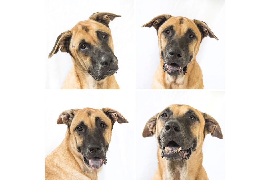 Hamish in the Photo Booth, Cayman Islands.