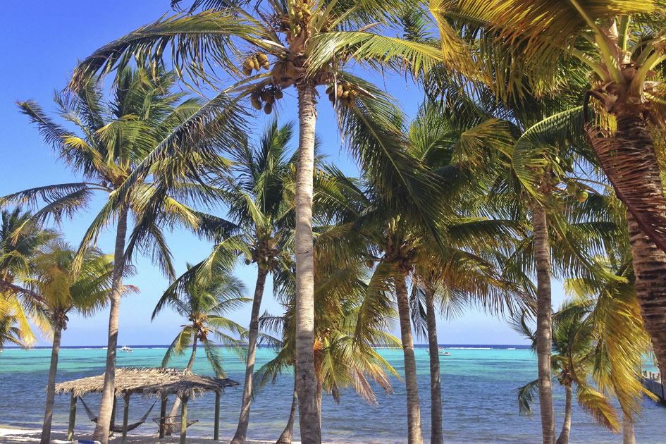 Little Cayman Beach Resort, Little Cayman