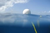 Mooring ball at Smiths Cove, Grand Cayman