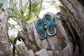 Abandoned flip-flops, South Sound, Grand Cayman