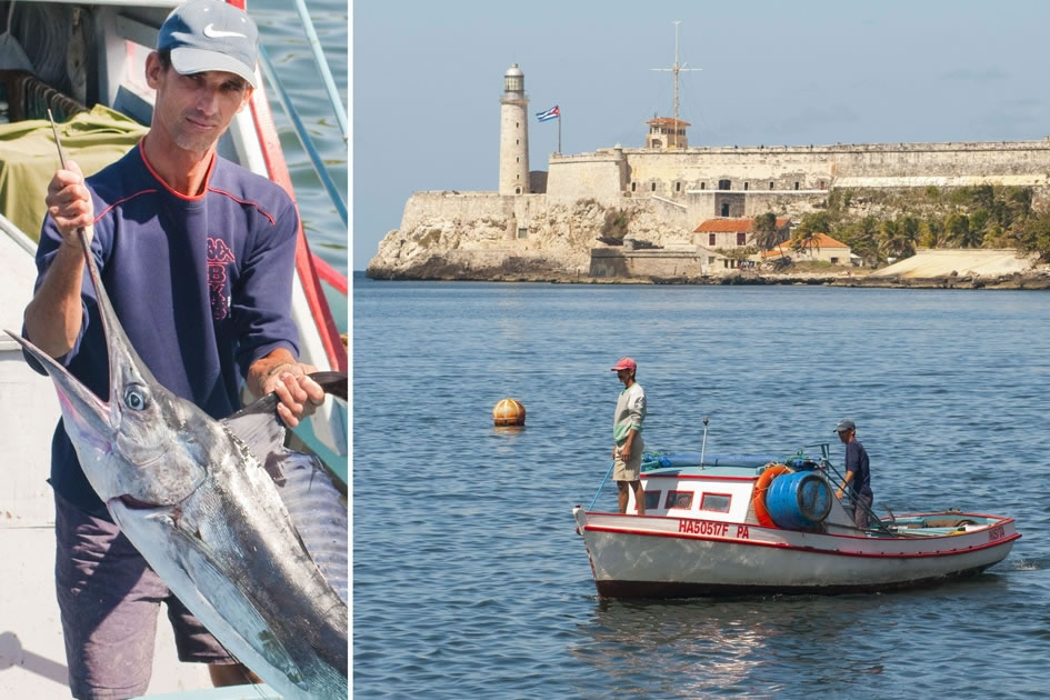 Bringing in the catch, Havana