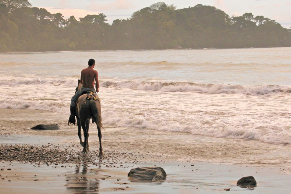 Sunset horse ride along the beach