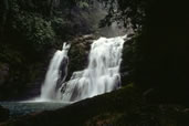 Waterfall in the jungle