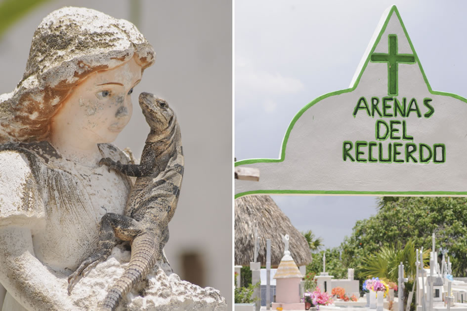 Life in the graveyard, Holbox