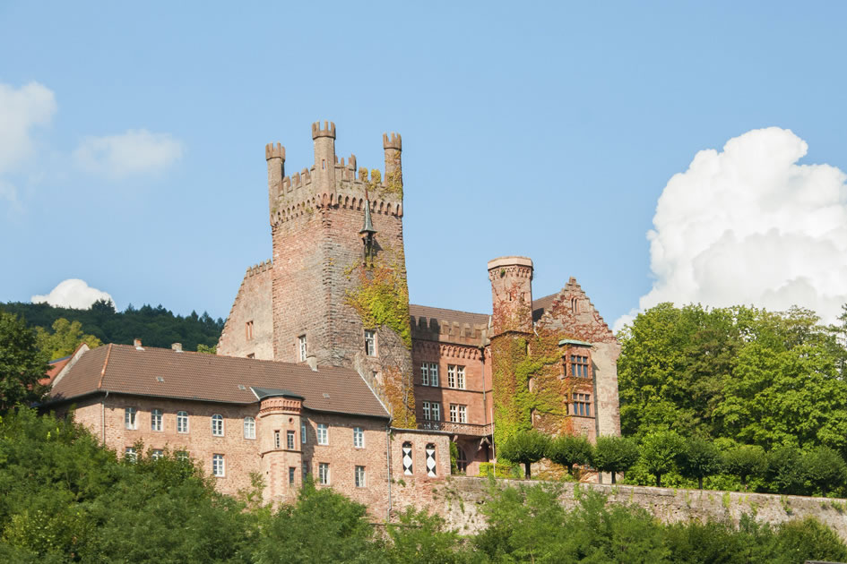 Castle along the River Neckar