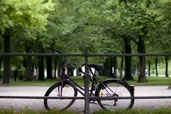 Bicycle at the Park, Munich