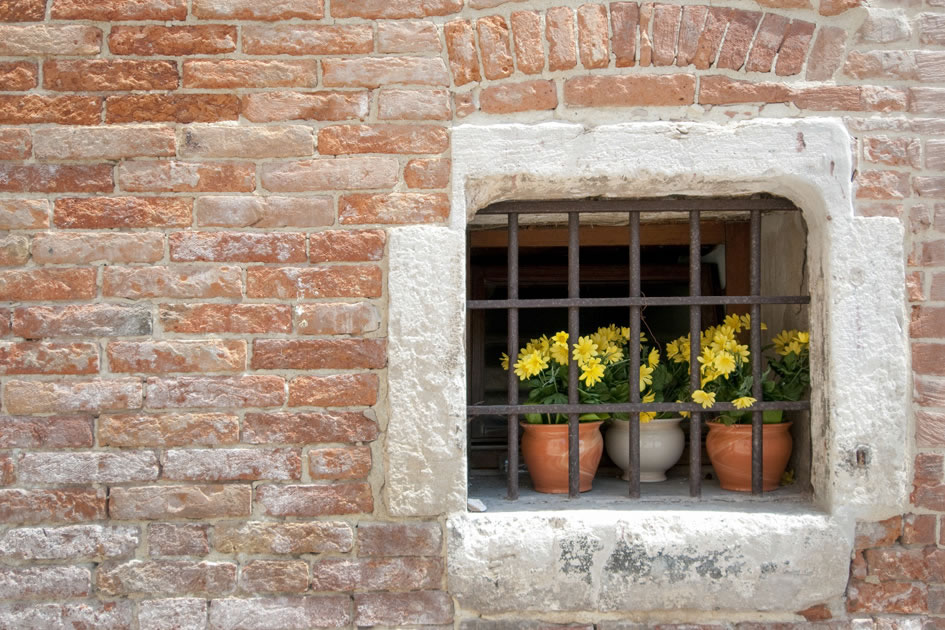 Window front, Venice