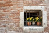 Window front, Venice