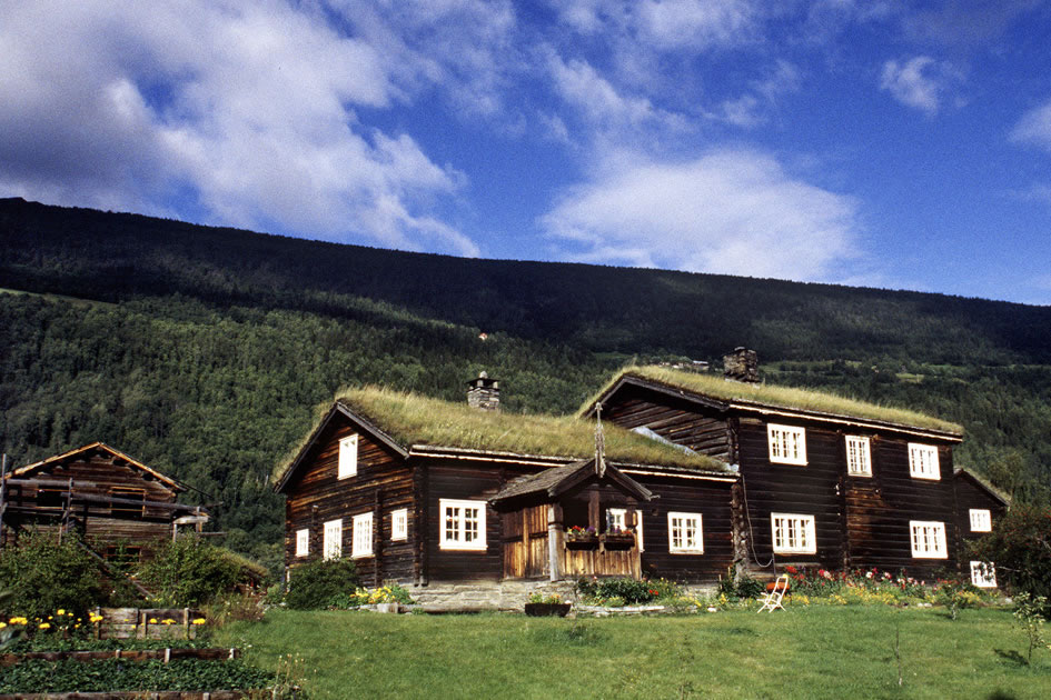 Traditional grass roof house