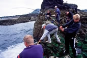 Young boys fish at the coast