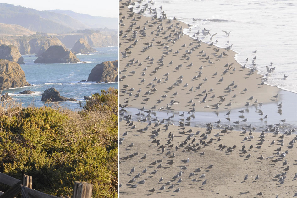 Northern California Coastline