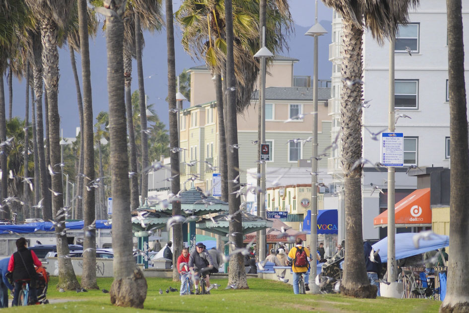The Venice Beach Boardwalk 