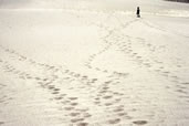 Great Sand Dunes National Park