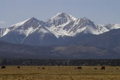 Mount Princeton 