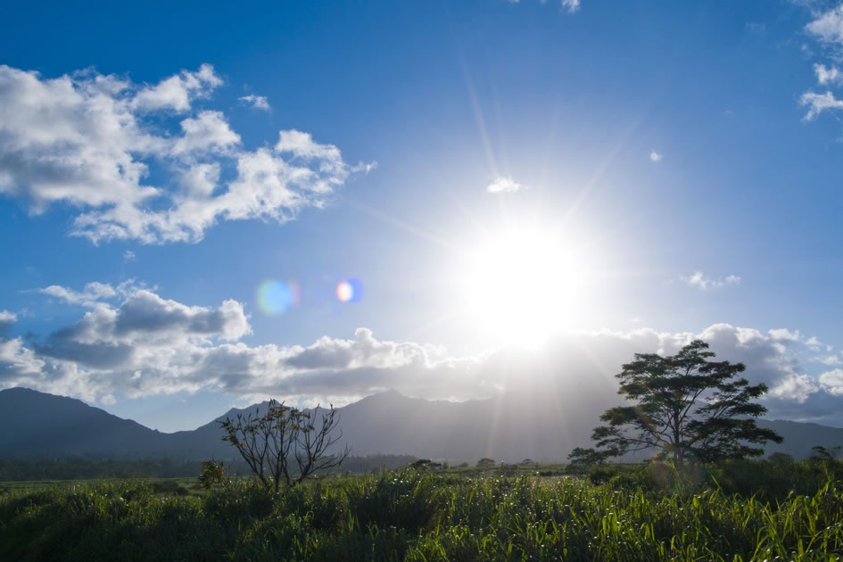 Oahu’s countryside