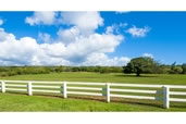 Oahu’s countryside