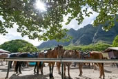 Kualoa Ranch, Oahu