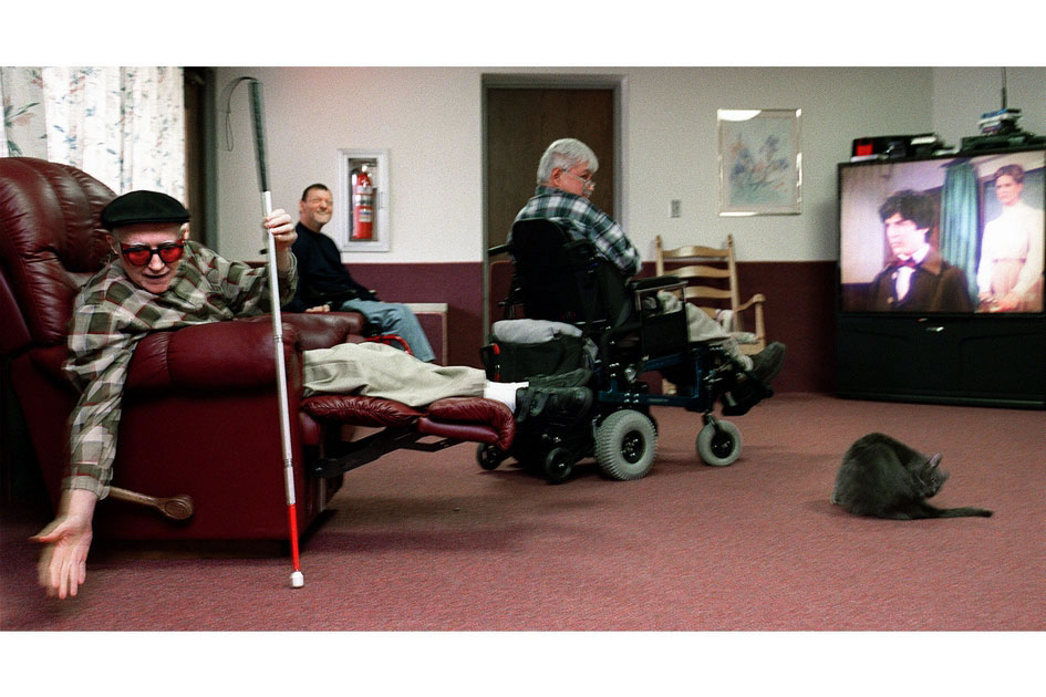 A handicapped man calls the community cat, with little success