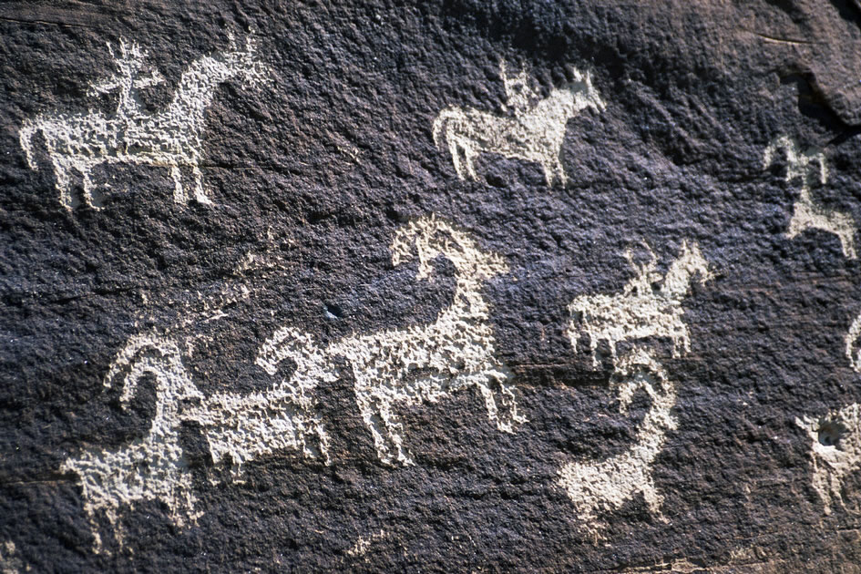 Ancient Cave Drawings