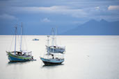 Boats in Buzios.