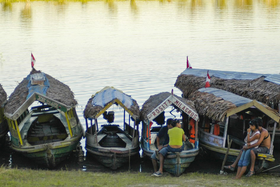 Life in the Amazon Basin near Iquitos