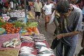 Market in Iquitos