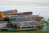 Life in the Amazon Basin near Iquitos