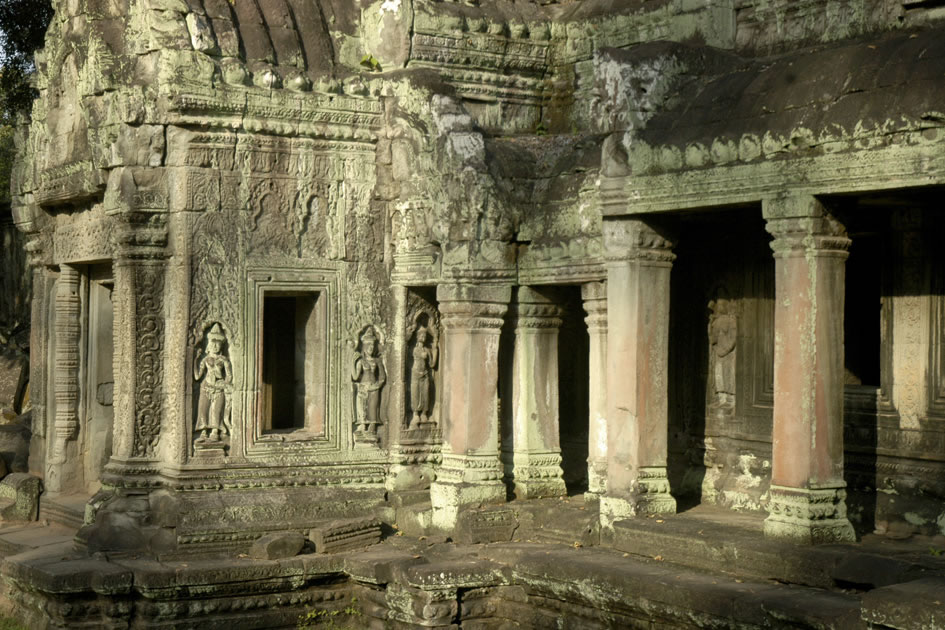 Ta Prohm Temple, Siem Reap