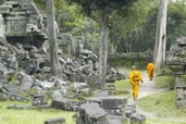 Ta Prohm Temple, Siem Reap