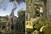 Ta Prohm Temple, Siem Reap