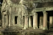 Ta Prohm Temple, Siem Reap
