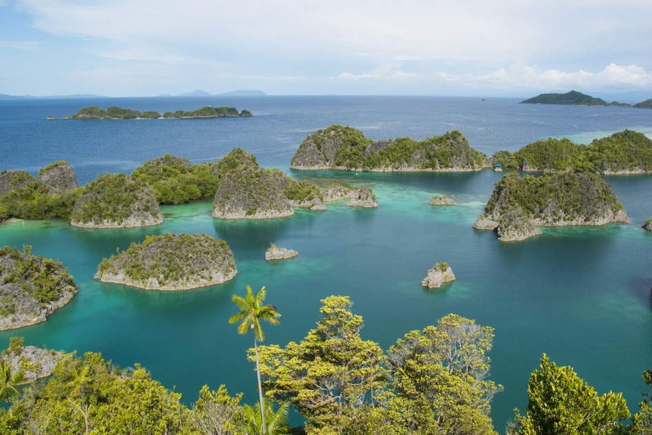 Fam Islands, Raja Ampat, West Papua