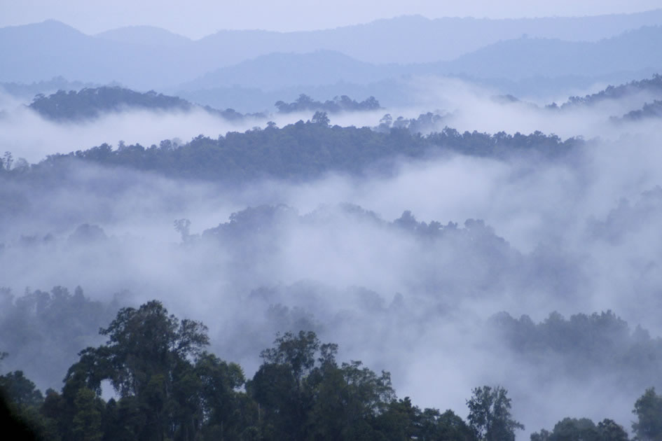 Dawn over Bokeo National Park, Northern Laos