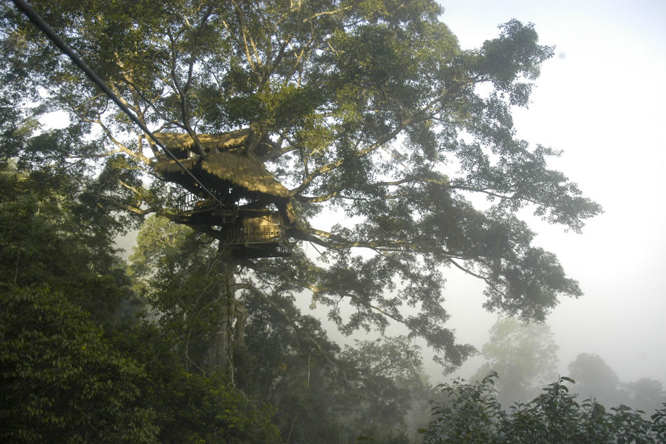 Treehouse at the Gibbon Experience, Bokeo National Park