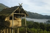 Rice hut as the fog lifts and the day begins, Akha village