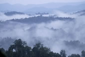 Dawn over Bokeo National Park, Northern Laos