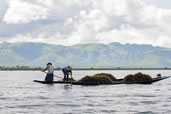 Harvest, Inle Lake