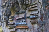 Hanging coffins, Sagada