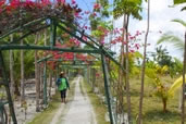 One of the main roads, Malapascua