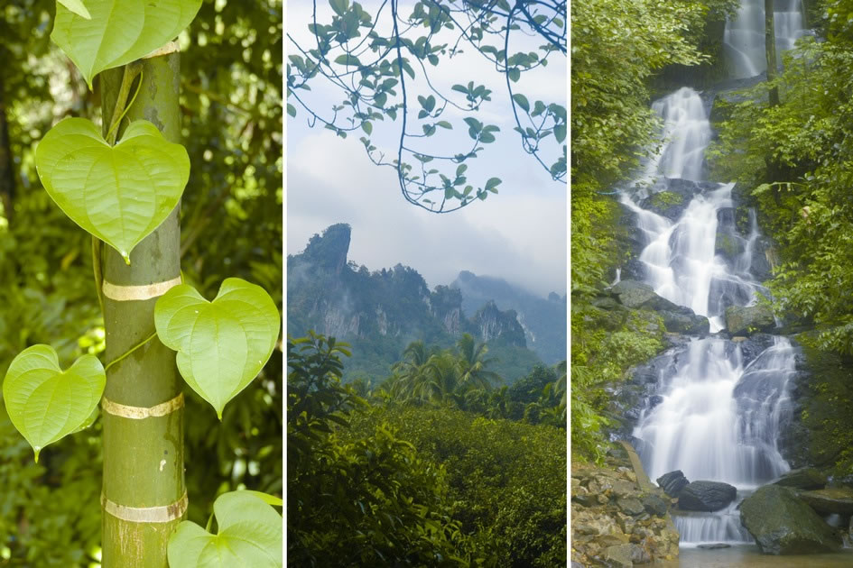 Scenics from Khao Sok National Park