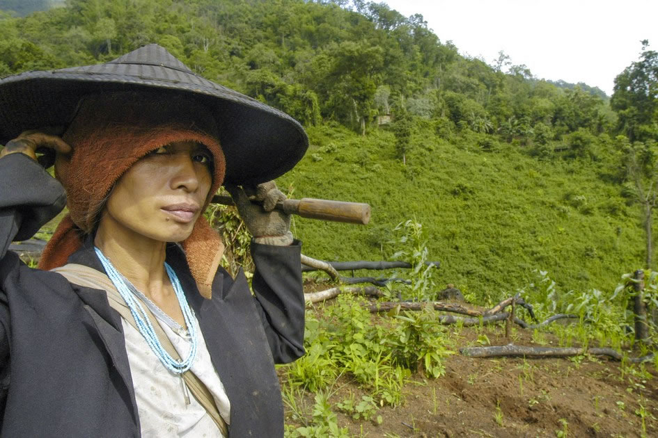 Karen Hilltribe Woman tending the farm, Northwest Thailand