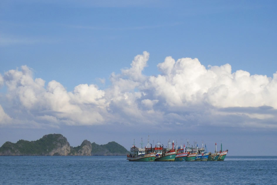 Fishing Boats Tied up in Ang Thong Marine Park