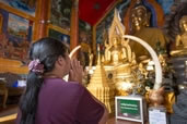 Wat Doi Suthep, Northwest Thailand