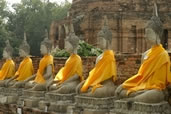 Buddhas of Ayutthaya