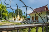 Temple, Pai